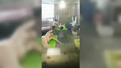 แอบถ่ายสาวนวดในโรงอาบน้ำ